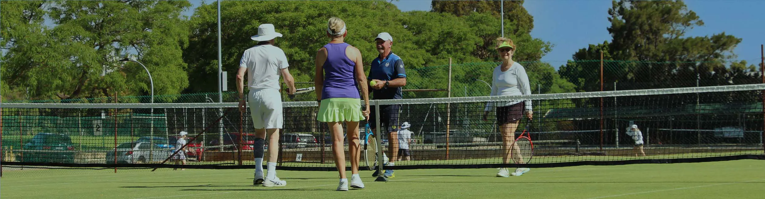 Tennis players at net